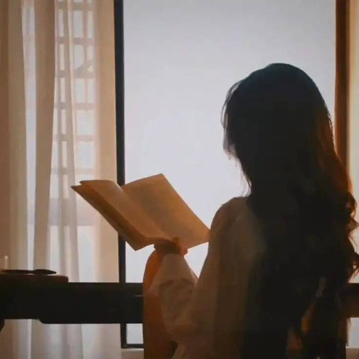 book lover book dp